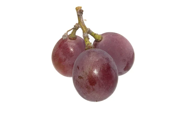 Uvas aisladas sobre fondo blanco — Foto de Stock