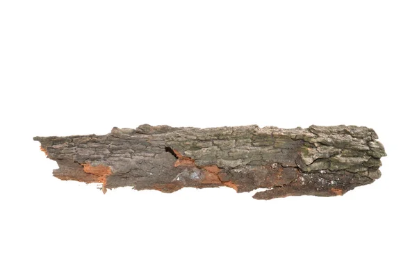 Beyaz Arkaplanda Ağaç Kabuğu Izole — Stok fotoğraf
