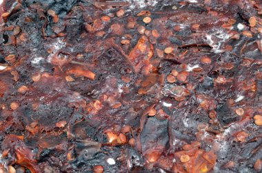 Beyaz arkaplanda küf izole edildi