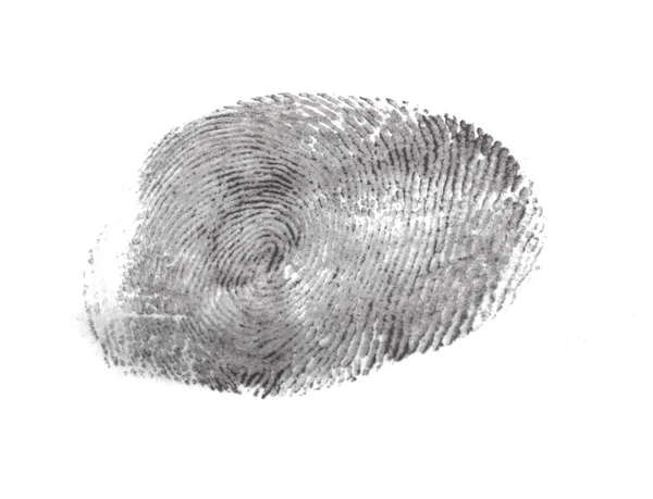 Отпечаток Пальца Белом Фоне — стоковое фото