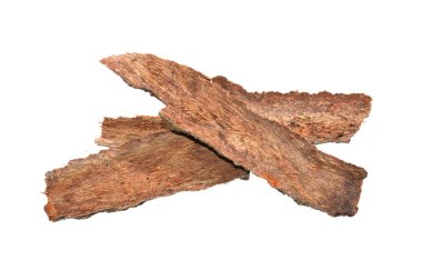 Beyaz arkaplanda ağaç kabuğu izole