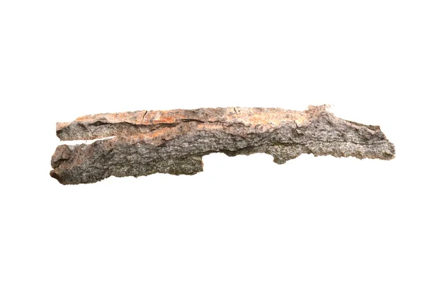 Tree Bark Isolated White Background — Stock Photo, Image