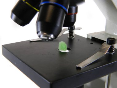                                Beyaz arkaplanda mikroskop izole edildi