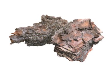 Beyaz arkaplanda ağaç kabuğu izole