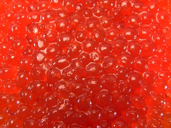 Caviar Rojo Aislado Sobre Fondo Blanco — Foto de Stock