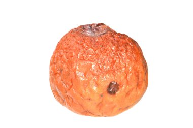 Çürük elma beyaz arkaplanda izole