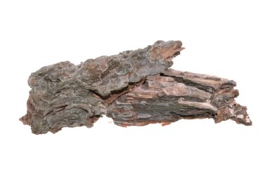 Beyaz arkaplanda ağaç kabuğu izole