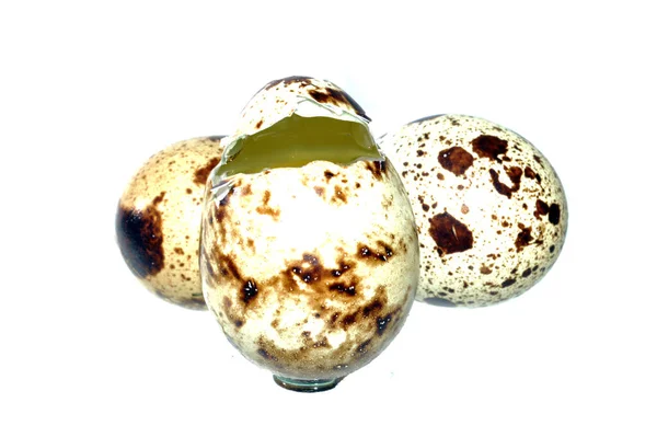 Quail Eggs Isolated White Background — Stock Photo, Image