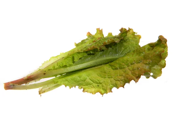 Salada Verde Isolada Sobre Fundo Branco — Fotografia de Stock