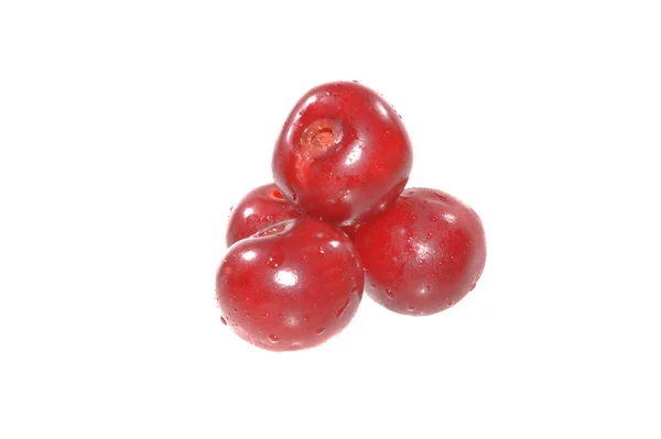 Red Cherry Diisolasi Latar Belakang Putih — Stok Foto