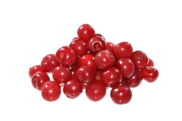 Red Cherry Diisolasi Latar Belakang Putih — Stok Foto