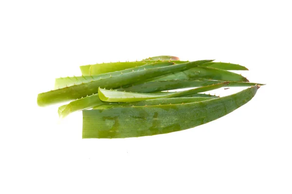 Aloe Flower Isolated White Background — Stock Photo, Image