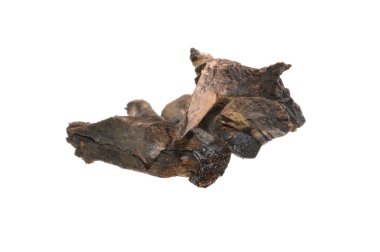 Beyaz arkaplanda yakacak odun