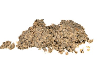 beyaz arkaplanda izole edilmiş tohumlar