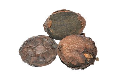 beyaz arkaplanda izole edilmiş ceviz