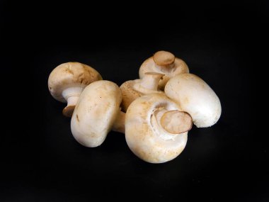                                Siyah arkaplanda beyaz mantar