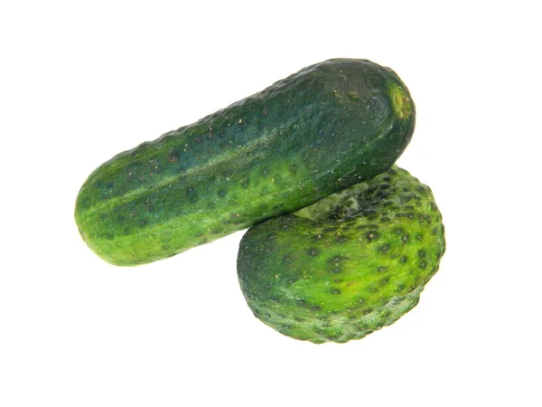 Ripe Cucumber Isolated White Background — Stock Photo, Image