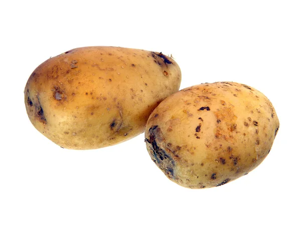 Rijpe Aardappel Geïsoleerd Witte Achtergrond — Stockfoto