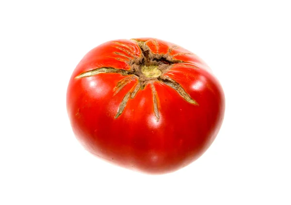 Rote Tomate Isoliert Auf Weißem Hintergrund — Stockfoto