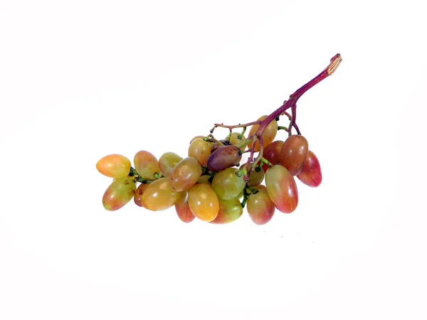 Bando Uvas Isoladas Sobre Fundo Branco — Fotografia de Stock