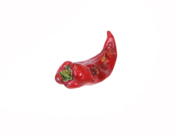 Verdorbener Paprika Isoliert Auf Weißem Hintergrund — Stockfoto