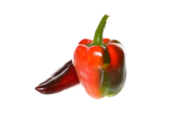 在白色背景上分离的甜椒 — 图库照片