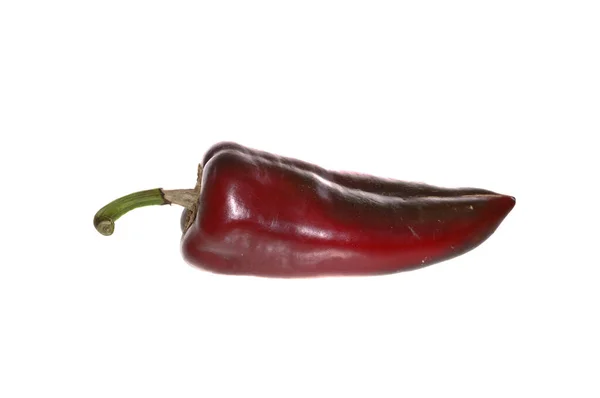 Paprika Isoliert Auf Weißem Hintergrund — Stockfoto