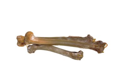 Beyaz arka planda izole edilmiş tavuk kemikleri