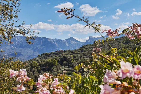 Mallorca Krajina Horách — Stock fotografie