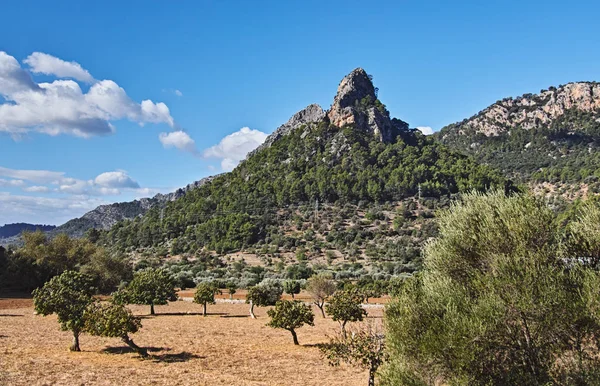 Mallorca Krajina Horách — Stock fotografie