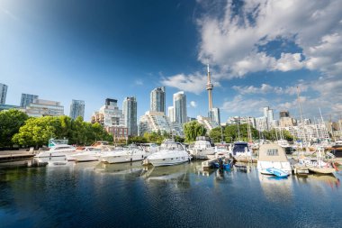 Toronto 'da yaz mevsiminde güzel liman çekimleri, Toronto, Kanada