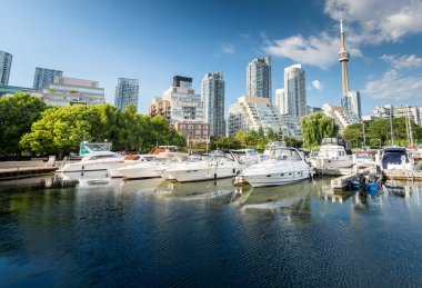 Toronto 'da yaz mevsiminde güzel liman çekimleri, Toronto, Kanada
