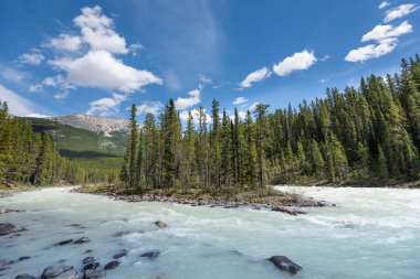 Jasper Ulusal Parkı 'ndaki güzel manzara, Alberta, Kanada