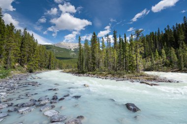 Jasper Ulusal Parkı 'ndaki güzel manzara, Alberta, Kanada