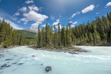 Jasper Ulusal Parkı 'ndaki güzel manzara, Alberta, Kanada