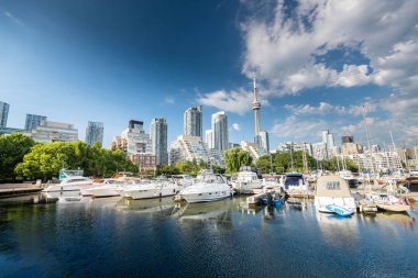 Toronto 'da yaz mevsiminde güzel liman çekimleri, Toronto, Kanada