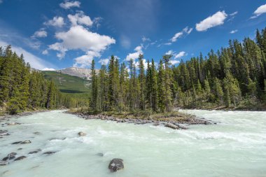 Jasper Ulusal Parkı 'ndaki güzel manzara, Alberta, Kanada