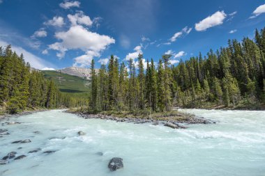 Jasper Ulusal Parkı 'ndaki güzel manzara, Alberta, Kanada