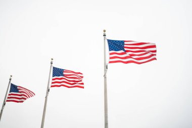 Amerika Birleşik Devletleri Bayrağı, ABD