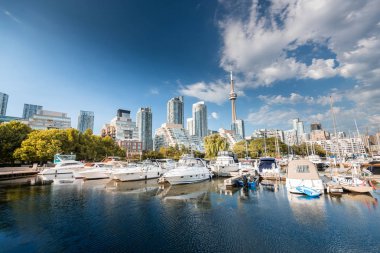 Toronto 'da güzel bir limanın çekimi yaz akşamı, Toronto, Kanada