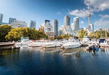 Toronto 'da yaz mevsiminde güzel liman çekimleri, Toronto, Kanada