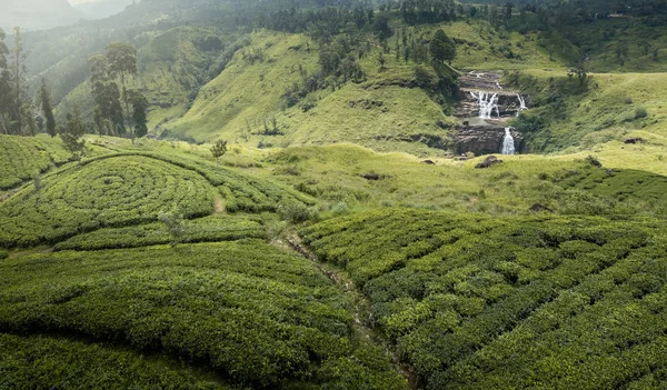 Tiro Panorâmico Plantações Chá Verde Montanhas — Fotografia de Stock