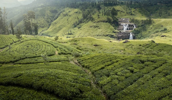 Malebný Záběr Zeleného Čaje Plantáže Horách — Stock fotografie