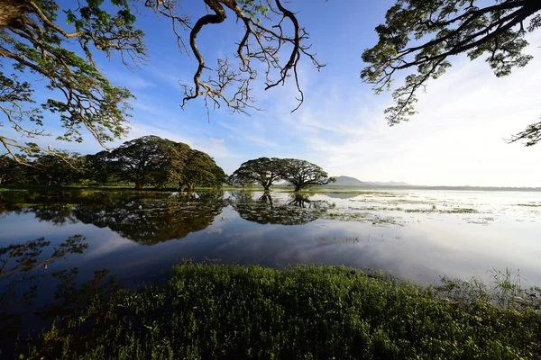 Озеро Тиссамахарамайя Шри Ланке — стоковое фото