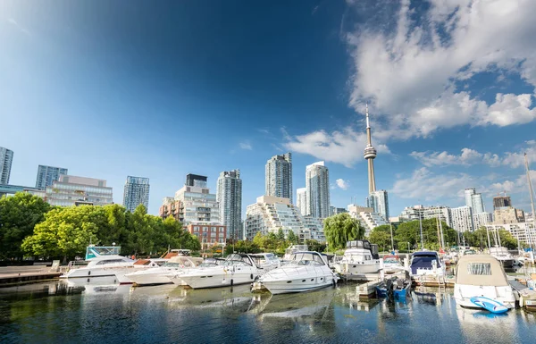 Shot Beautiful Harbor Toronto City Summer Toronto Canada — 스톡 사진