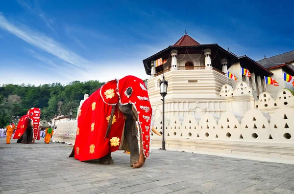 Temple Sacred Tooth Relic Buddhisttempel Staden Kandy Sri Lanka Kandy — Stockfoto