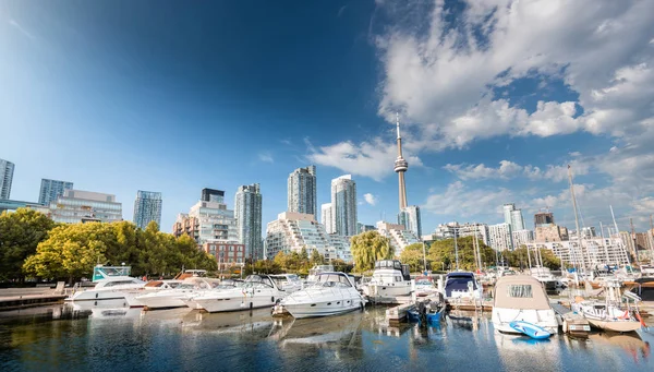 Shot Beautiful Harbor Toronto City Summer Toronto Canada — 스톡 사진