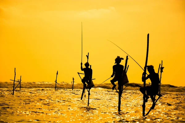 Pêcheur Traditionnel Sur Échasses Sri Lanka — Photo