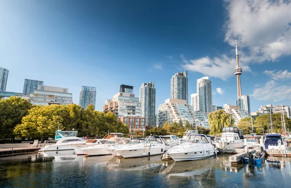 Toronto 'da yaz mevsiminde güzel liman çekimleri, Toronto, Kanada