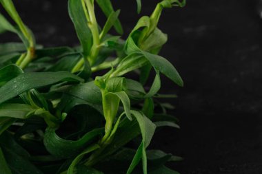 Koyu taş arka plan üzerinde izole taze tarhun (esthun) Demeti. Seçici odaklama, Yakın çekim, Makro